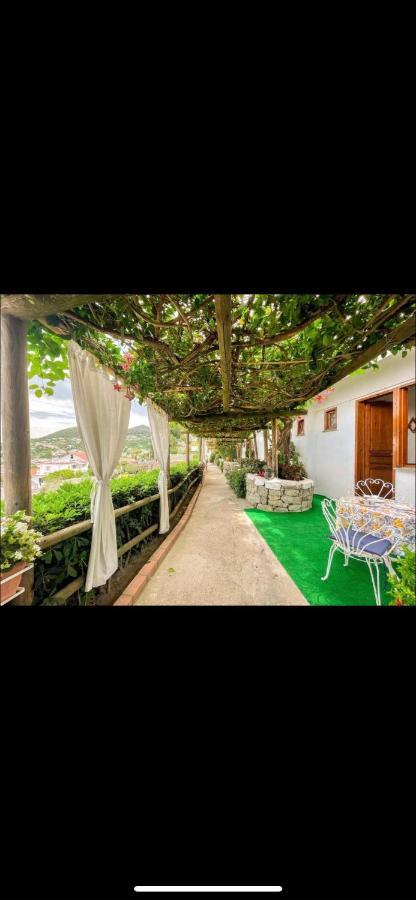 Casamicciola Terme Guesthouse Coralba מראה חיצוני תמונה