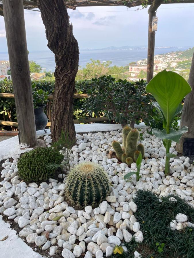 Casamicciola Terme Guesthouse Coralba מראה חיצוני תמונה