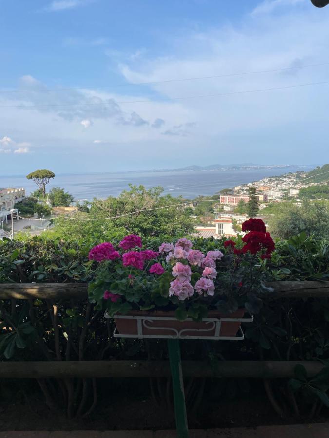 Casamicciola Terme Guesthouse Coralba מראה חיצוני תמונה