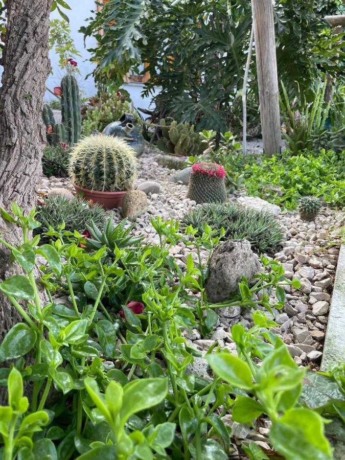 Casamicciola Terme Guesthouse Coralba מראה חיצוני תמונה