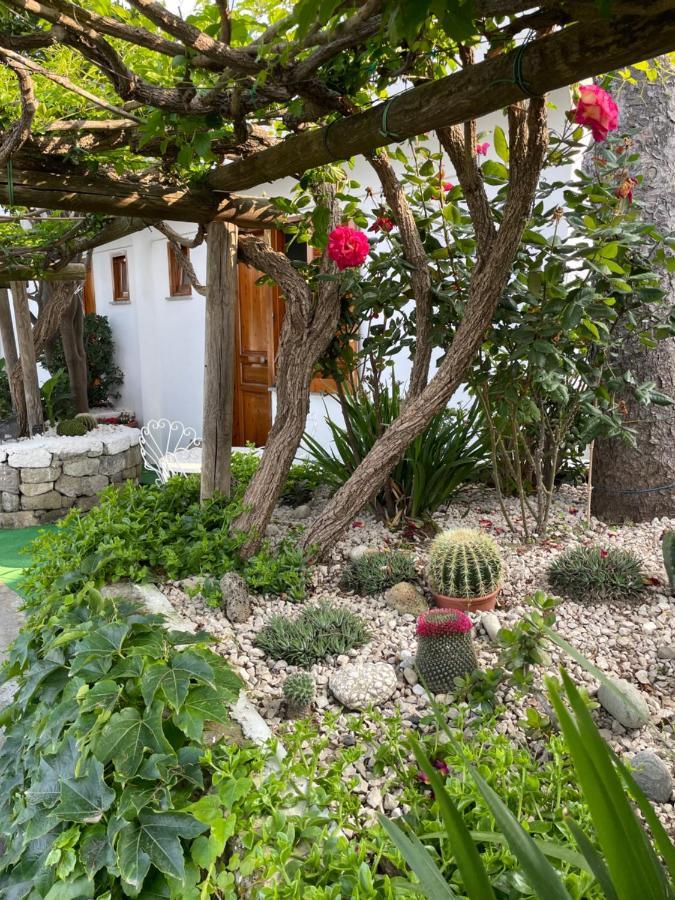 Casamicciola Terme Guesthouse Coralba מראה חיצוני תמונה