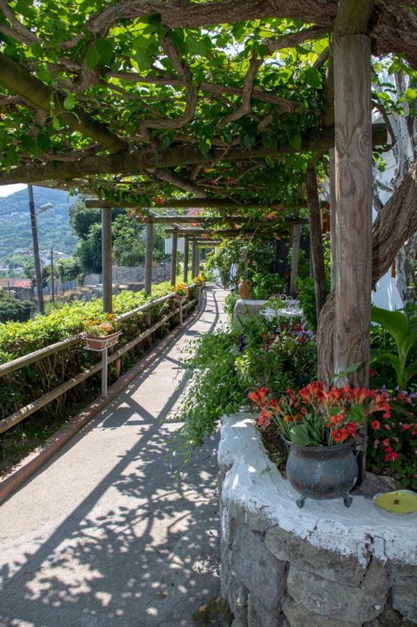 Casamicciola Terme Guesthouse Coralba מראה חיצוני תמונה