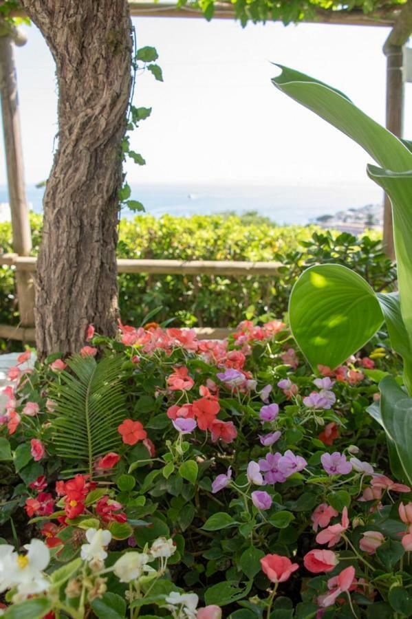 Casamicciola Terme Guesthouse Coralba מראה חיצוני תמונה