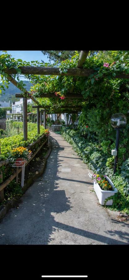 Casamicciola Terme Guesthouse Coralba מראה חיצוני תמונה