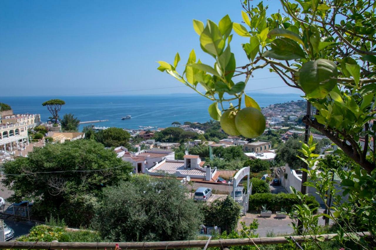 Casamicciola Terme Guesthouse Coralba מראה חיצוני תמונה